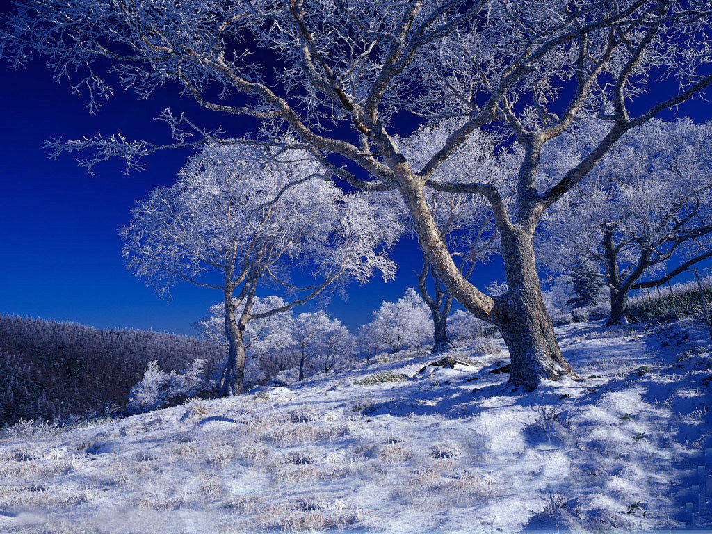 雪景.jpg