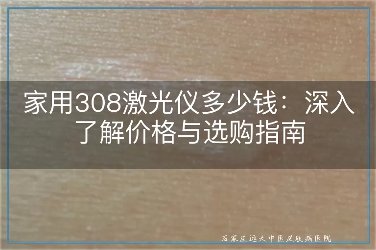 家用308激光仪多少钱：深入了解价格与选购指南