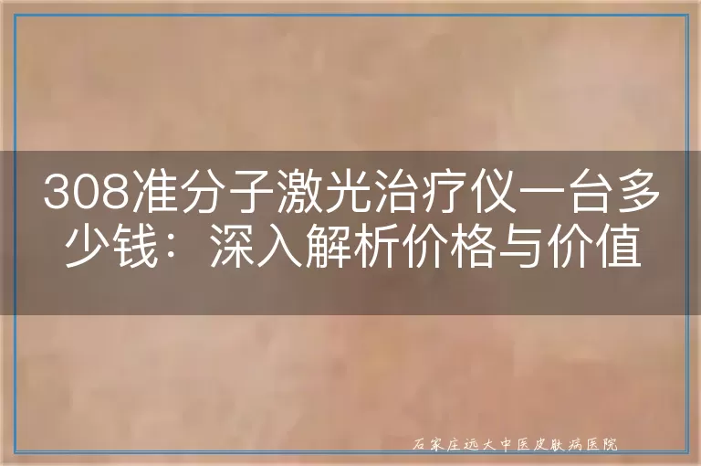 308准分子激光治疗仪一台多少钱：深入解析价格与价值